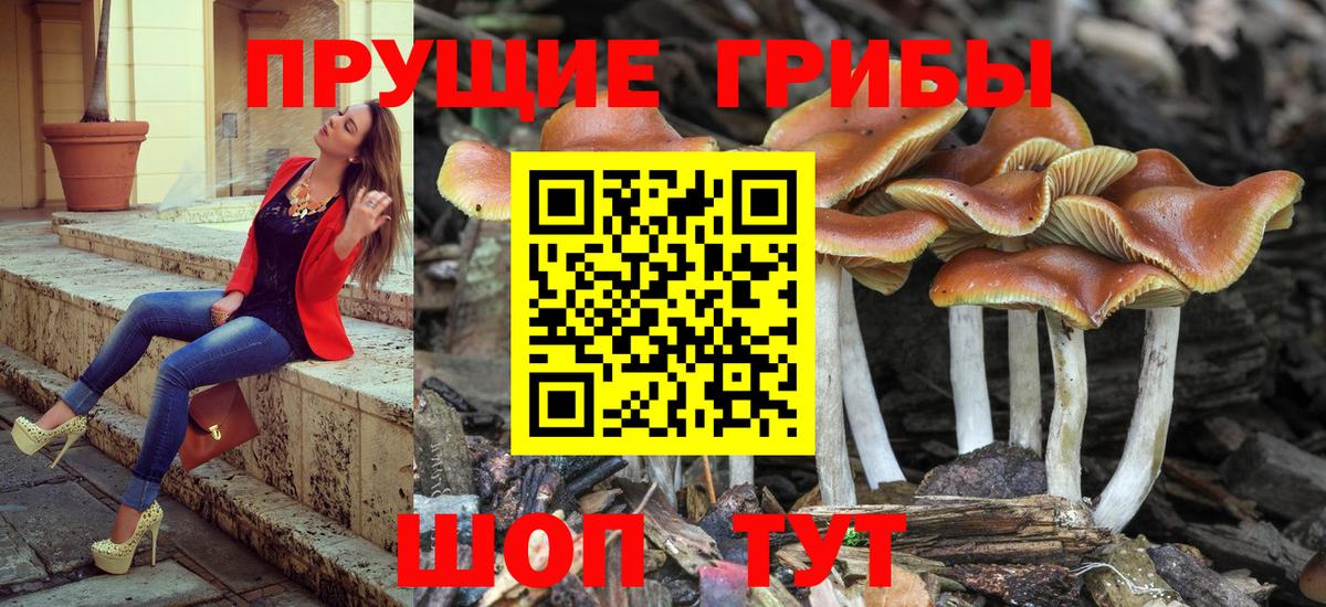 Краснокаменск  Псилоцибиновые грибы Cubensis  Вход с VPN  Галлюциногенные грибы прущие грибы 